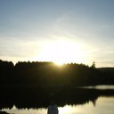 ���� Dimarik 7475, ������, 50 ��� - ��������� 6 ������ 2010 � ������ �PetLove�