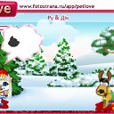  Dora,  -  22  2011   PetLove