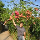  Dmitriy, , 39  -  16  2011    