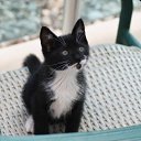���� ��������, �������� - ��������� 28 ����� 2012 � ������ �PetLove�
