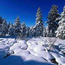 ���� �����, ��������, 56 ��� - ��������� 9 ��� 2013 � ������ ���� ����������
