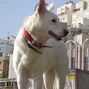 ���� Boris, �������, 67 ��� - ��������� 6 ������� 2012 � ������ ������
