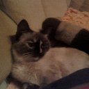  , -, 61  -  12  2012   