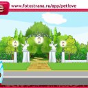  Irixa, , 57  -  13  2010   PetLove