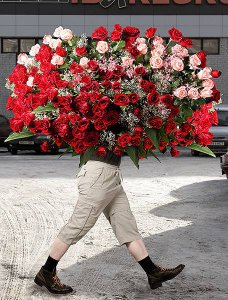 ���� �������, �������, 44 ���� - ��������� 15 ����� 2012