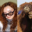 ���� �����, ��������, 38 ��� - ��������� 23 ������ 2013 � ������ ���� ����������