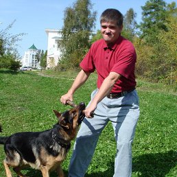 Alexsandr Tarasov, �������, 54 ����