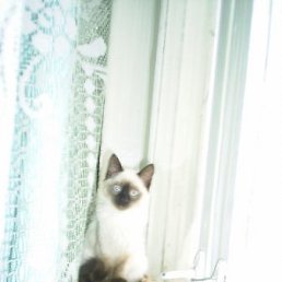 ���� �������, ���������, 48 ��� - ��������� 11 ������� 2011