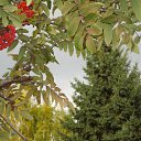 ���� Vipalych, ������, 68 ��� - ��������� 4 ��� 2011 � ������ ������