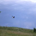 ���� ������, ������, 59 ��� - ��������� 23 ������ 2011 � ������ ���� ����������