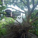 ���� ������, ������, 46 ��� - ��������� 19 ������ 2012 � ������ ���� ����������