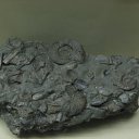  .,  -  4  2011   