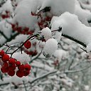 ���� �������, ���������, 49 ��� - ��������� 19 �������� 2011
