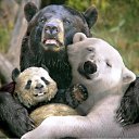 ��� �� ��� ����!!! �� ������� ���� ����������