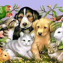 ���� Dryny, �����-���������, 80 ��� - ��������� 7 ���� 2012