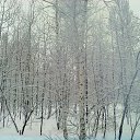  ,  -  11  2013