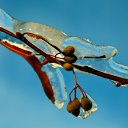 ���� �����, ������, 78 ��� - ��������� 8 ������ 2011 � ������ ������������ ���� 2010 ����..�