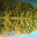 ���� ��������, �����, 38 ��� - ��������� 9 ����� 2011 � ������ �������