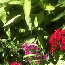 ���� ���������, ��������, 55 ��� - ��������� 7 ������� 2011 � ������ �����