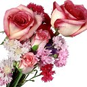 ���� ������, ������, 59 ��� - ��������� 31 ����� 2012 � ������ �����ۻ