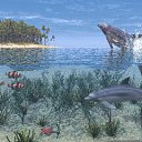  Dionis, , 45  -  17  2010   