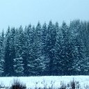 ������ ����... �� ������� ��������