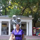 ���� �����, ����������� ����, 51 ��� - ��������� 4 ���� 2012 � ������ ���� ����������