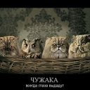 ���� Edgarihe, ����������� - ��������� 29 ������ 2011 � ������ ������ ��������