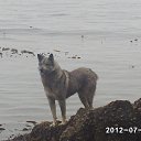 ���� ������, ������, 57 ��� - ��������� 30 ������� 2012 � ������ �������� -�������