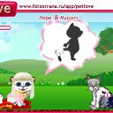   :3, , 22  -  24  2010   PetLove