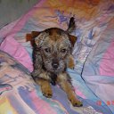  , , 51  -  23  2011    ۻ