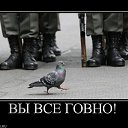 ���� ������, ������, 27 ��� - ��������� 23 �������� 2011 � ������ �������