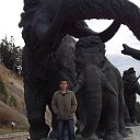 ���� ����� ������, ���, 51 ��� - ��������� 1 ������� 2012