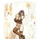 ���� �������, ���������, 38 ��� - ��������� 13 ������ 2011 � ������ �������