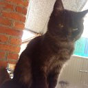 �������� �� ������� �PetLove�