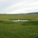      .    ! ))))    2011