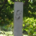  , , 33  -  15  2009       ?