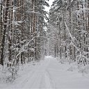 ���� ������, ��������� - ��������� 31 ������ 2010 � ������ �������� �������