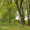  ir@ge))) ))), , 47  -  19  2009       