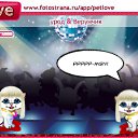 ���� ������, ���������, 48 ��� - ��������� 23 ������� 2010 � ������ �PetLove�