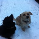 ���� �������, �������, 46 ��� - ��������� 8 ������ 2013 � ������ ���� ����������