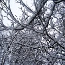 ������ ����... �� ������� ��������