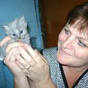 ���� �����, ������ - ��������� 1 ���� 2012 � ������ ���� ����������