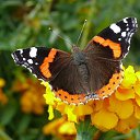 ���� ������, ������, 68 ��� - ��������� 15 ������ 2012 � ������ �������Ȼ