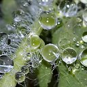 ���� �����, ������, 26 ��� - ��������� 11 �������� 2010 � ������ �����