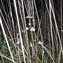  , , 63  -  21  2012   21.10.12 .