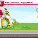 ���� ���������, ������, 49 ��� - ��������� 10 ������ 2011 � ������ �PetLove�