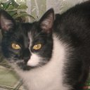 ���� ����, �������, 64 ���� - ��������� 19 ��� 2012 � ������ ���� ����������