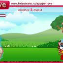 ���� ����, �����-���������, 27 ��� - ��������� 23 ������ 2010