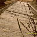 ���� Noinfo, ��������, 55 ��� - ��������� 14 ���� 2013 � ������ ������� ����